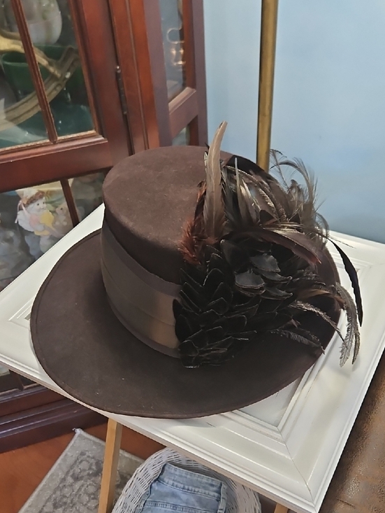 Maison Michel Paris Brown Felt Feathered Women\'s Hat main image 6